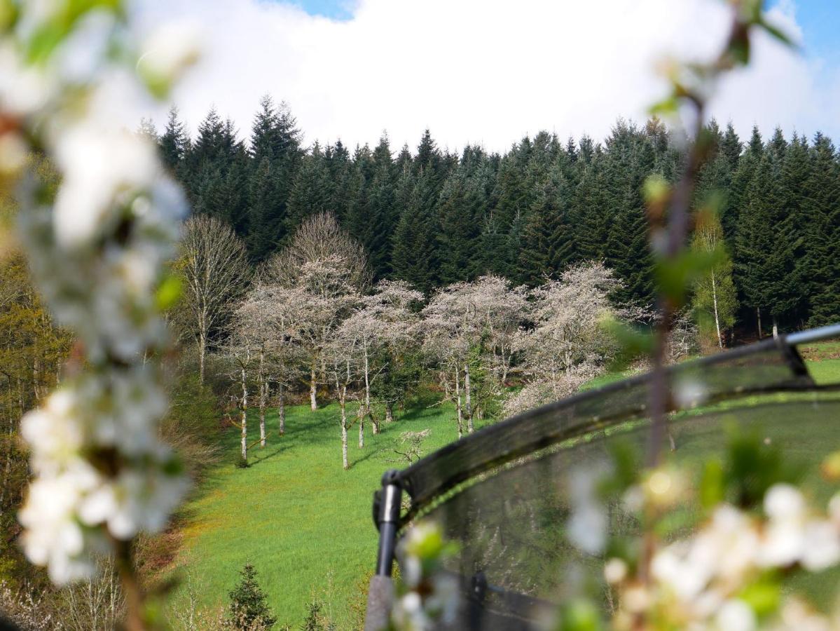 Villa Buehlbauernhof Bad Peterstal-Griesbach Esterno foto