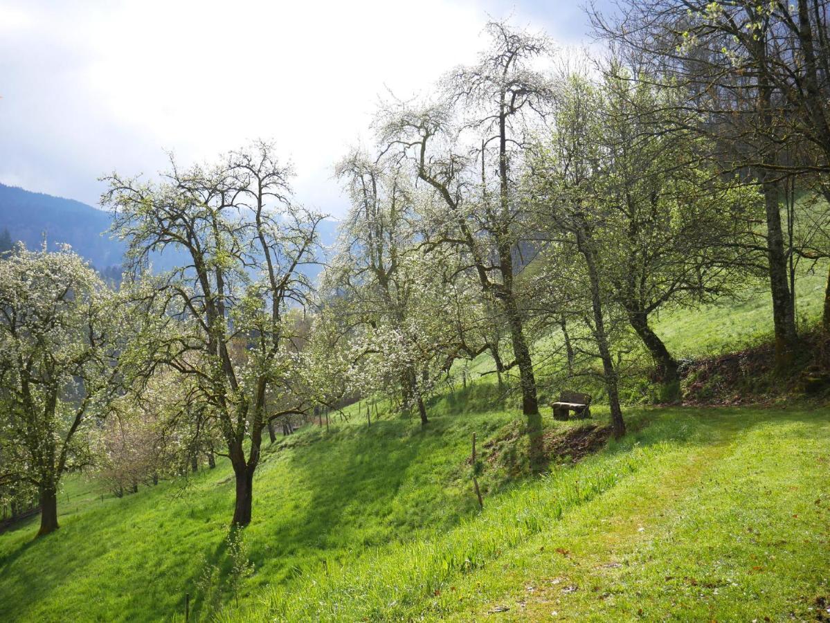 Villa Buehlbauernhof Bad Peterstal-Griesbach Esterno foto