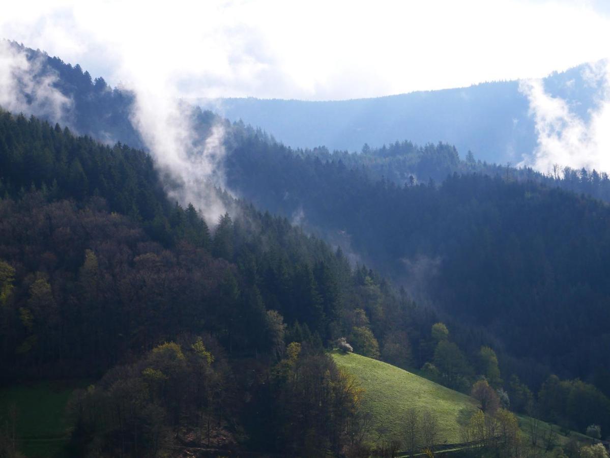 Villa Buehlbauernhof Bad Peterstal-Griesbach Esterno foto
