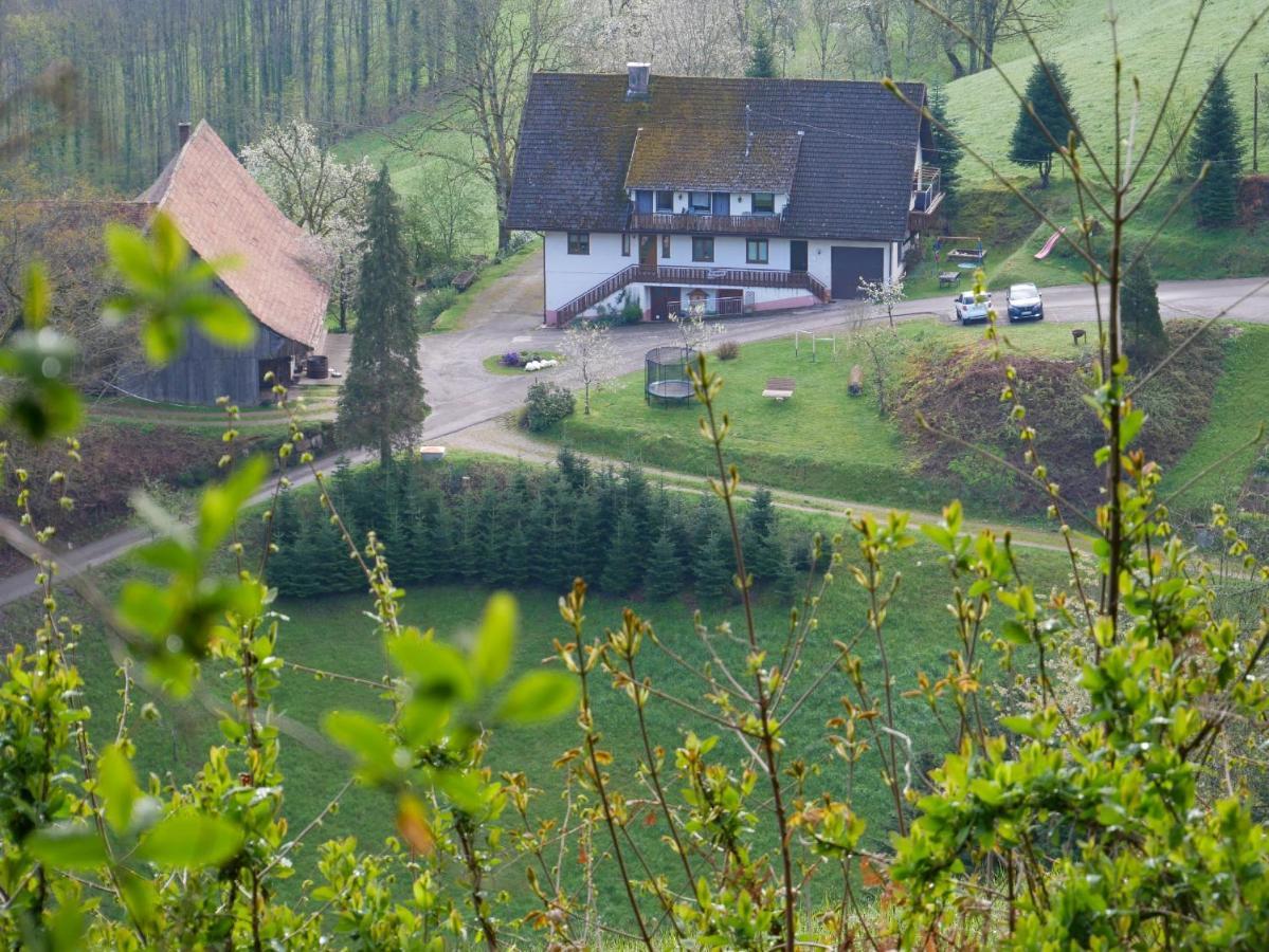 Villa Buehlbauernhof Bad Peterstal-Griesbach Esterno foto